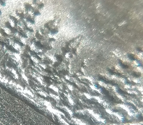 2005-Minnesota-State-Quarter-Extra-Tree