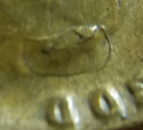 1955-Wheat-Penny-Error-On-Lincolns-Head?