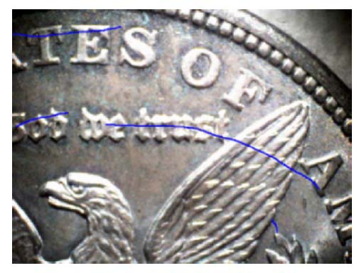 Yet-Another-'21-Morgan