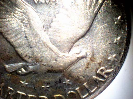 '29-SLQ-*new-Pics*