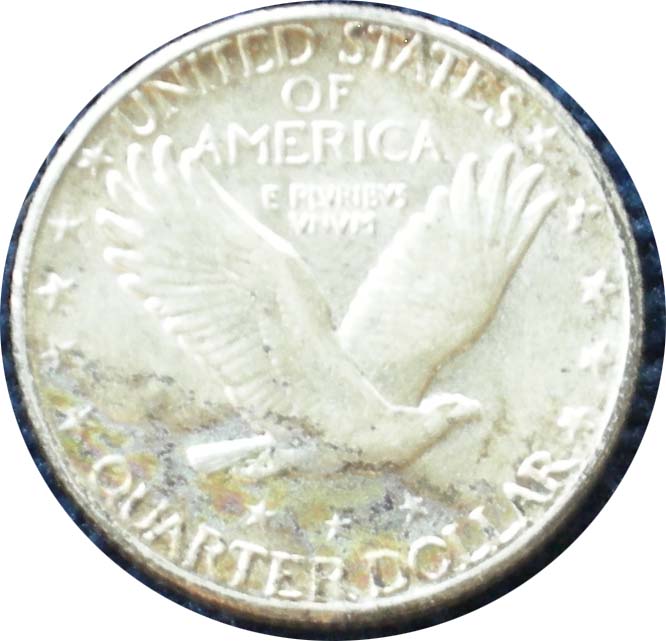 '29-SLQ-*new-Pics*