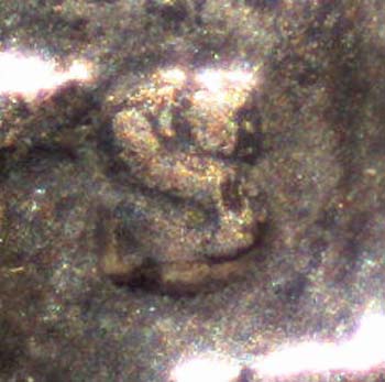 '29-SLQ-*new-Pics*