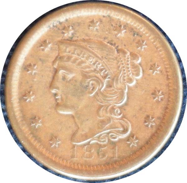 Auction-Purchases-Continued