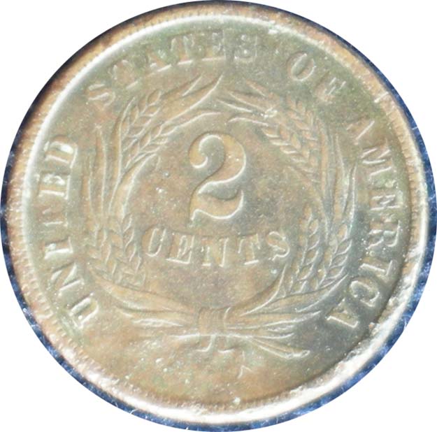 Auction-Purchases-Continued