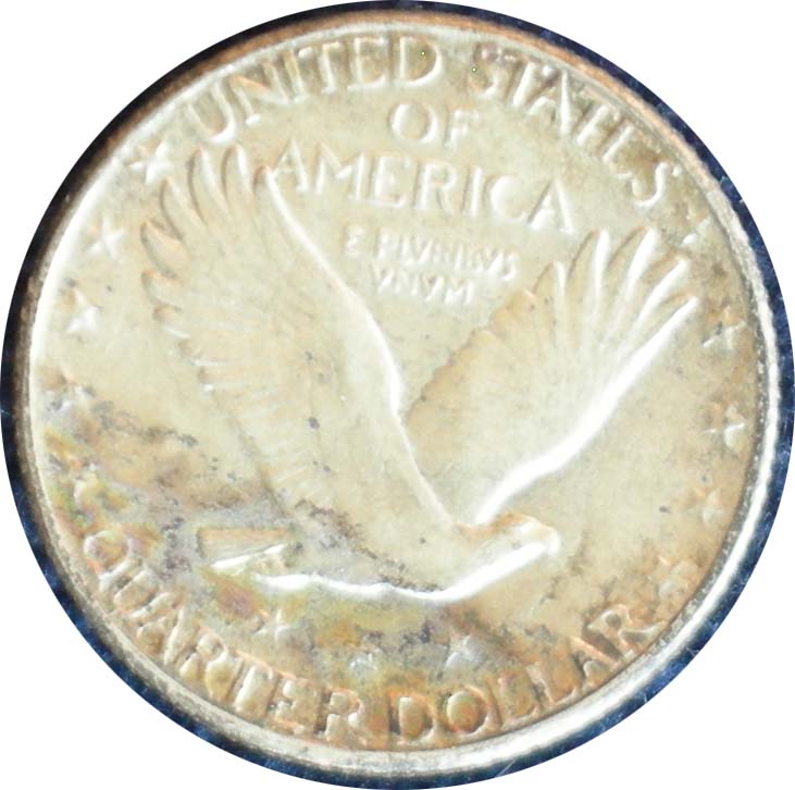 Auction-Purchases-Continued