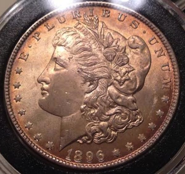 These-Two-Morgans...at-Or-Nt?