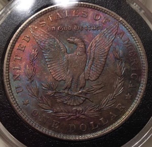 These-Two-Morgans...at-Or-Nt?