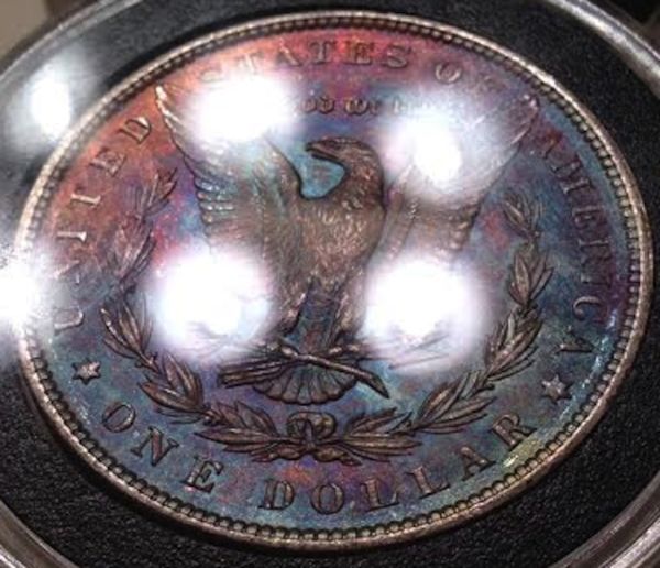 These-Two-Morgans...at-Or-Nt?