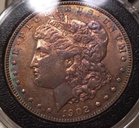 These-Two-Morgans...at-Or-Nt?