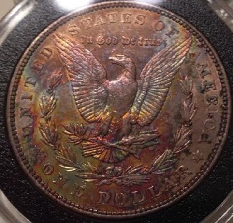 These-Two-Morgans...at-Or-Nt?