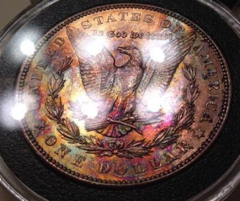 These-Two-Morgans...at-Or-Nt?