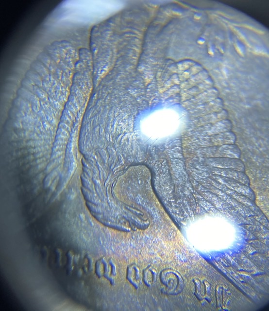 Does-NGC-Under-Grade-All-Coins-See-Pictures
