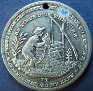 Maybe-An-Aa-Token-|-Temperance-Medal