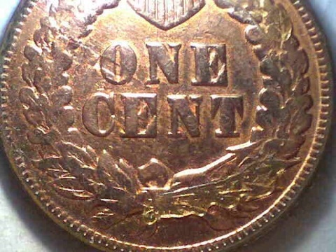 1905-IHC