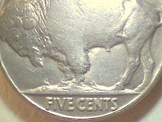 1918-Buffalo,-Extremely-Rusted-Die.