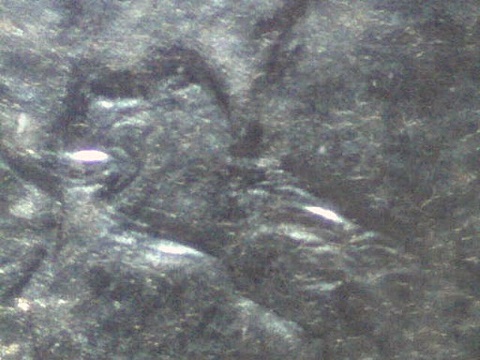 Ike-Dollar-Reverse-Design.