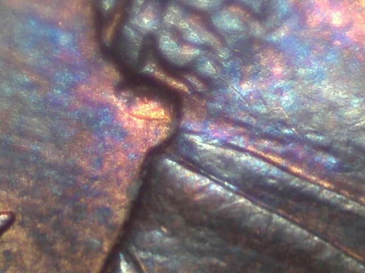Just-A-Well-Placed-Die-Chip?-1998-Linc.