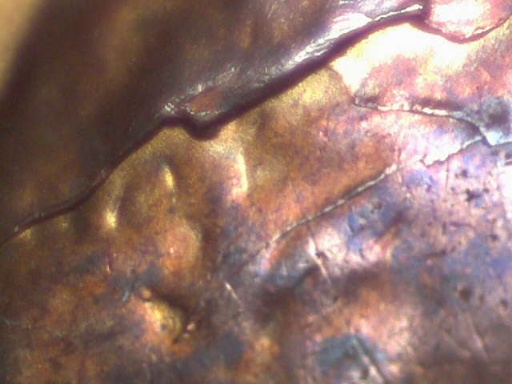 1955-Lincoln-Wheat-Cent-Error?