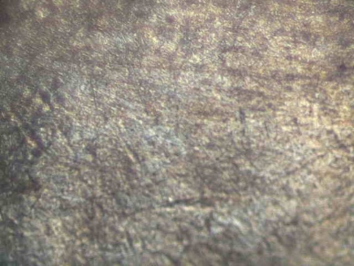 1918-Buffalo-Nickel-Revisited.