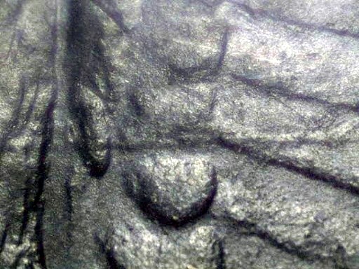 1878-VAM-19-Die-Gouge