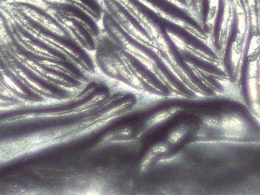1997-Nickel,-Doubled-Die?