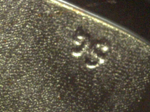2009-Polk-Dollar