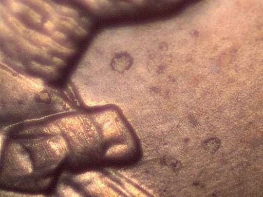 What-Year-Is-This-Lincoln?