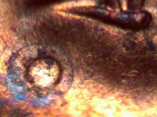 1999,-Odd-Circle-Under-Eye