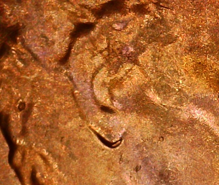 2021-D-Lincoln-Cent-Doubled-Ear?