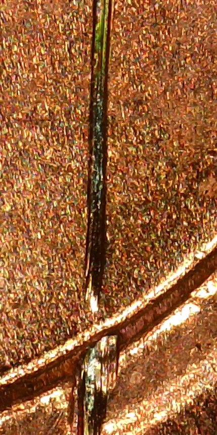 2020-D-Cent-Reverse-Die-Crack?