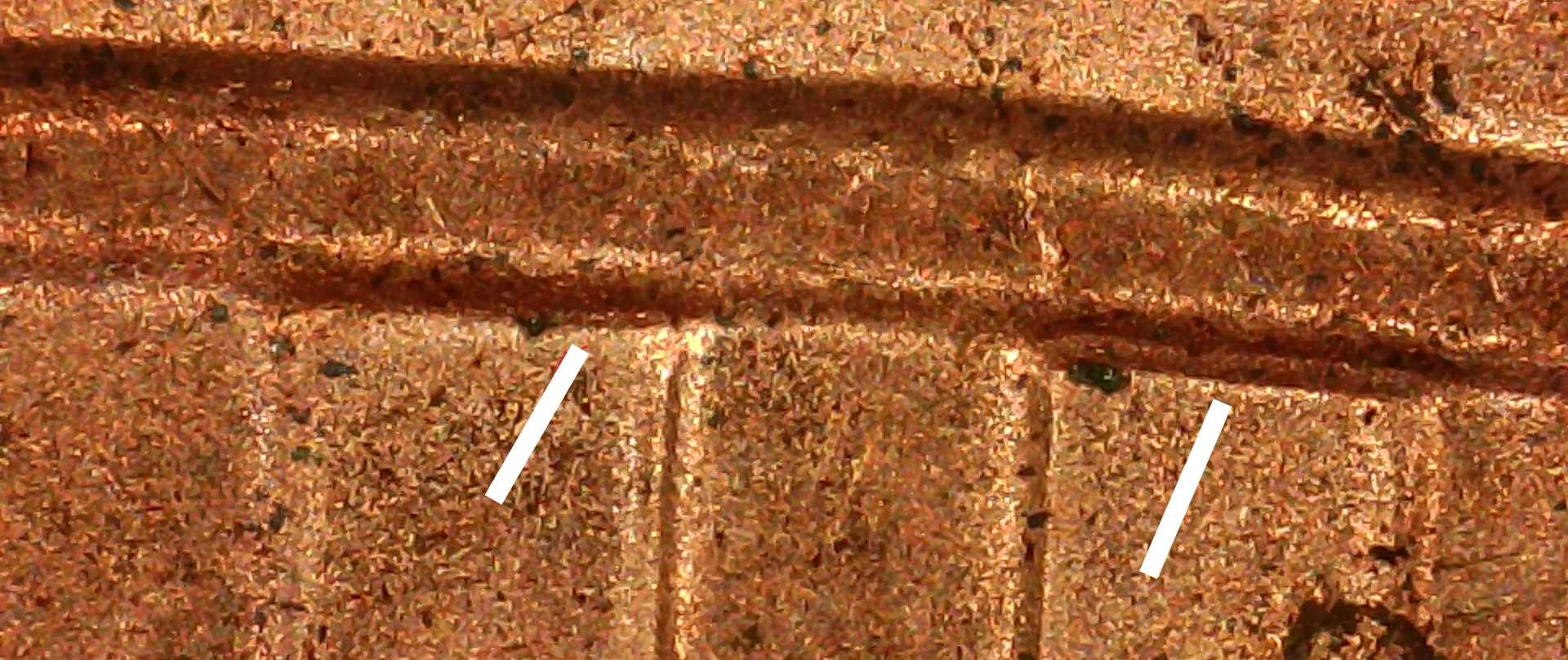 2021-D-Lincoln-Shield-Cent-DDR?