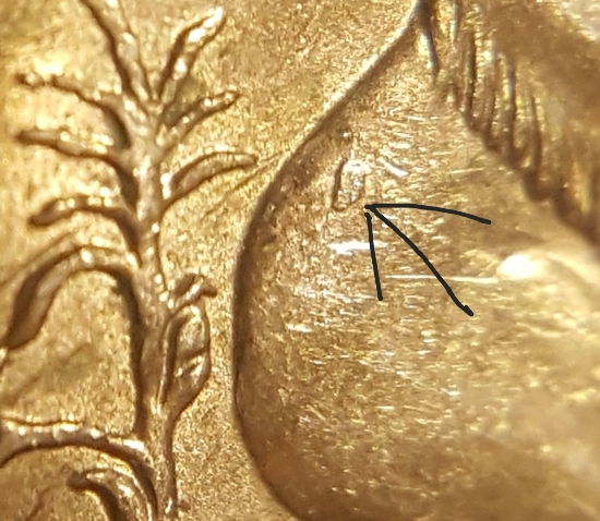 2009-P-Sacagawea-Possible-Die-Chip?...