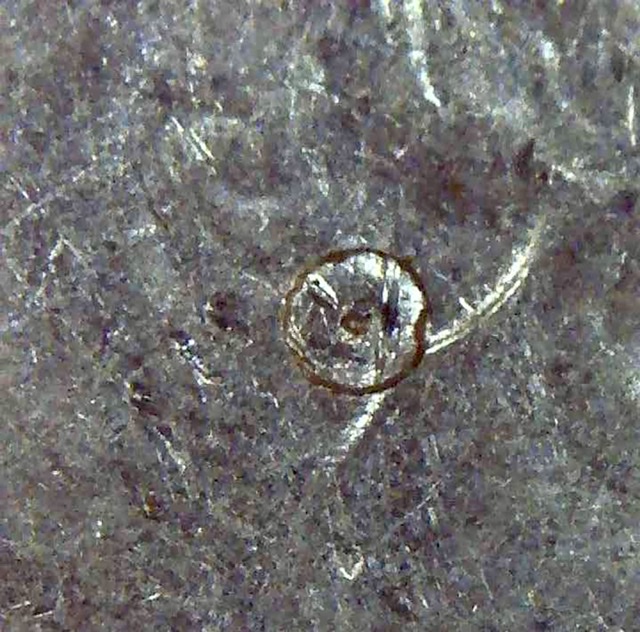 2019-P-Washington-Quarter---Lowell---Earring