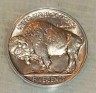 Why-Was-This-Buffalo-Nickel-Grade-ANACS-AU-58?