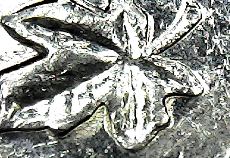 1980-5-Cent-Double-Die-Or-Not-Revers-And-Obverse-?-Thanks-For-Answers!