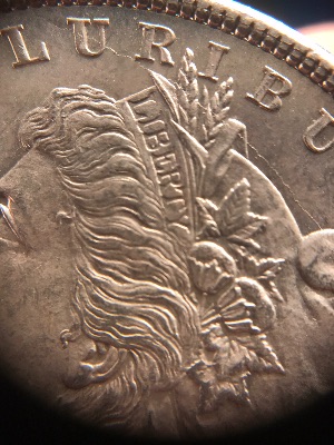 1878-Morgan,-VAM-130c3?