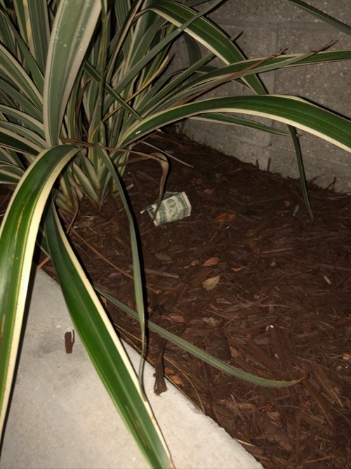 Post-Your-Stories-&-Pix-Of-Found-Money