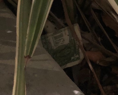 Post-Your-Stories-&-Pix-Of-Found-Money