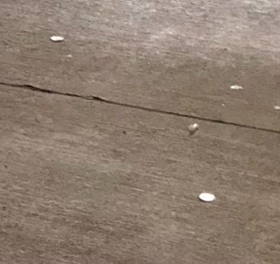 Post-Your-Stories-&-Pix-Of-Found-Money