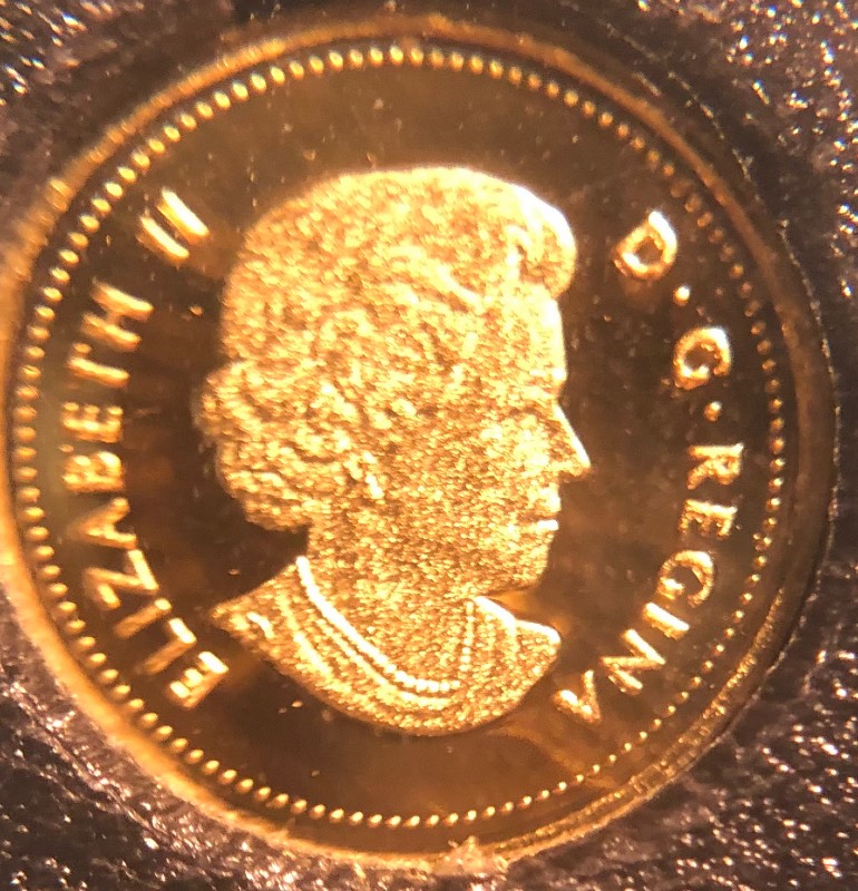 Continuing-List-To-Show-Everyones-Latest-Acquisitions