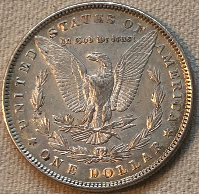 Continuing-List-To-Show-Everyones-Latest-Acquisitions