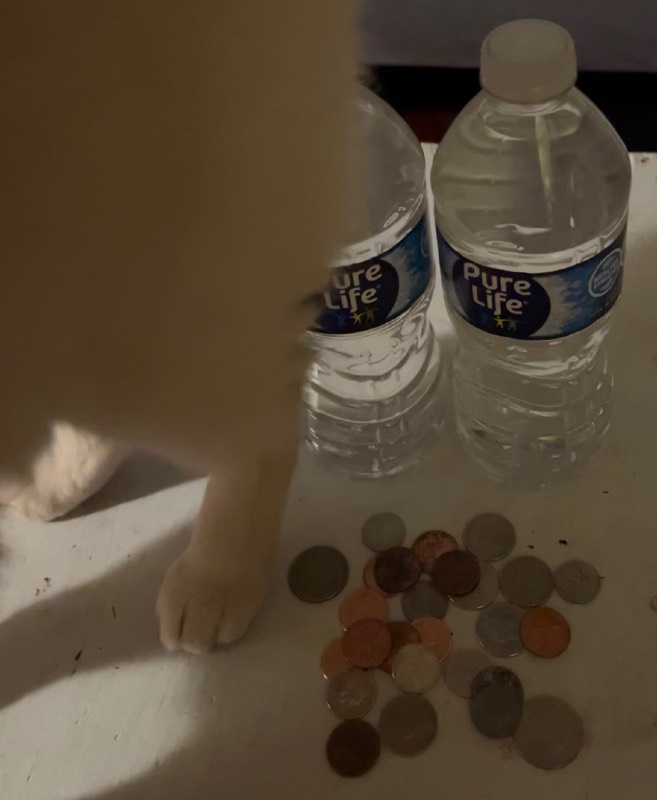 Post-Your-Stories-&-Pix-Of-Found-Money