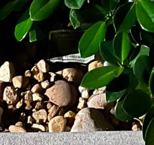 Post-Your-Stories-&-Pix-Of-Found-Money