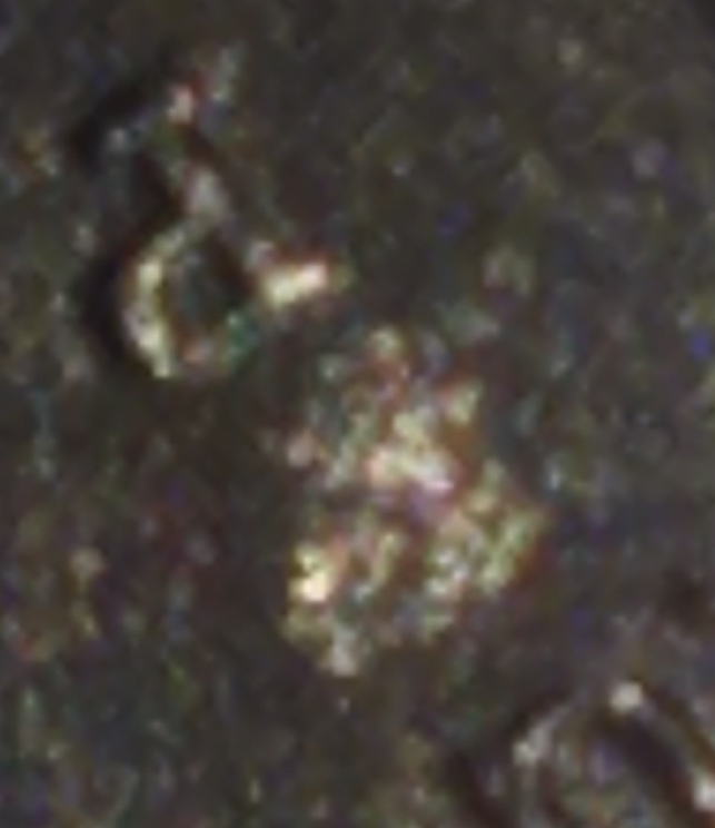2020-P-Quarter-Minting-Error-Coin