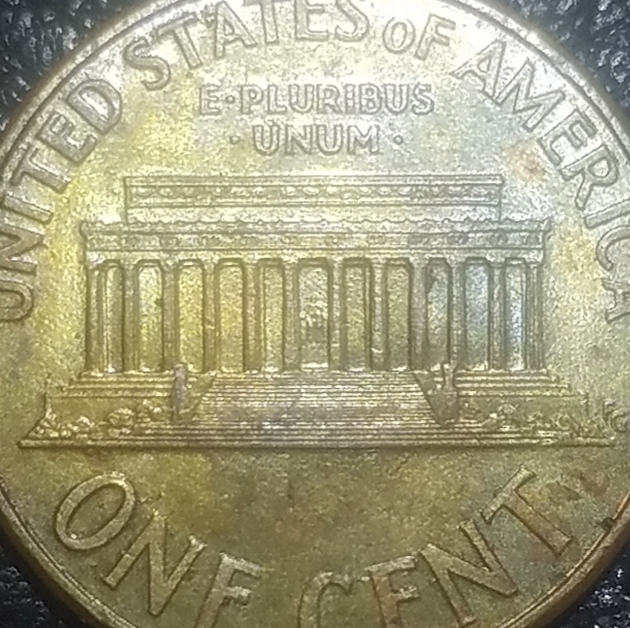 Can-Anyone-Tell-Me-What-This-Is?