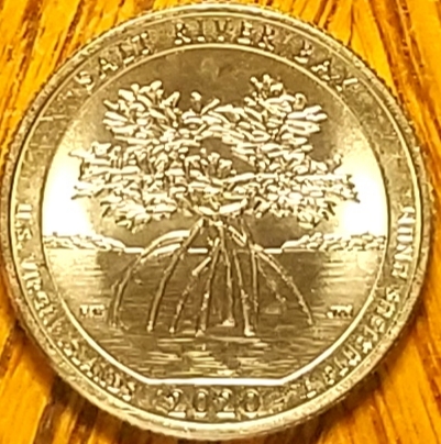 2020-P-Quarter-Minting-Error-Coin
