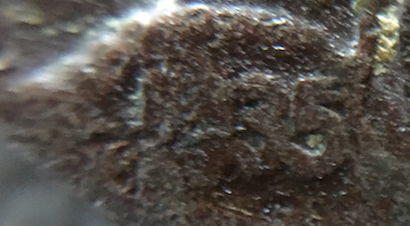 1935-Buffalo-Nickel-Error-Planchet?