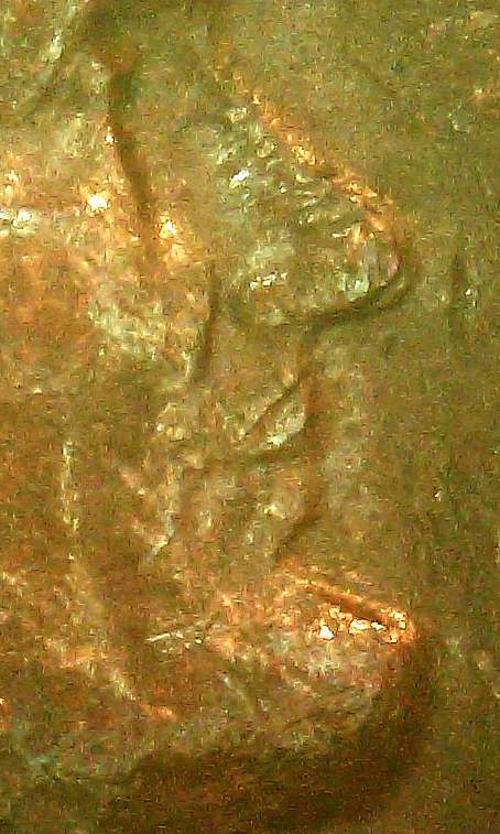 1972-S-Doubled-Date,-Mint,-Ty-In-Liberty,-Nose-And-The-I-In-In.