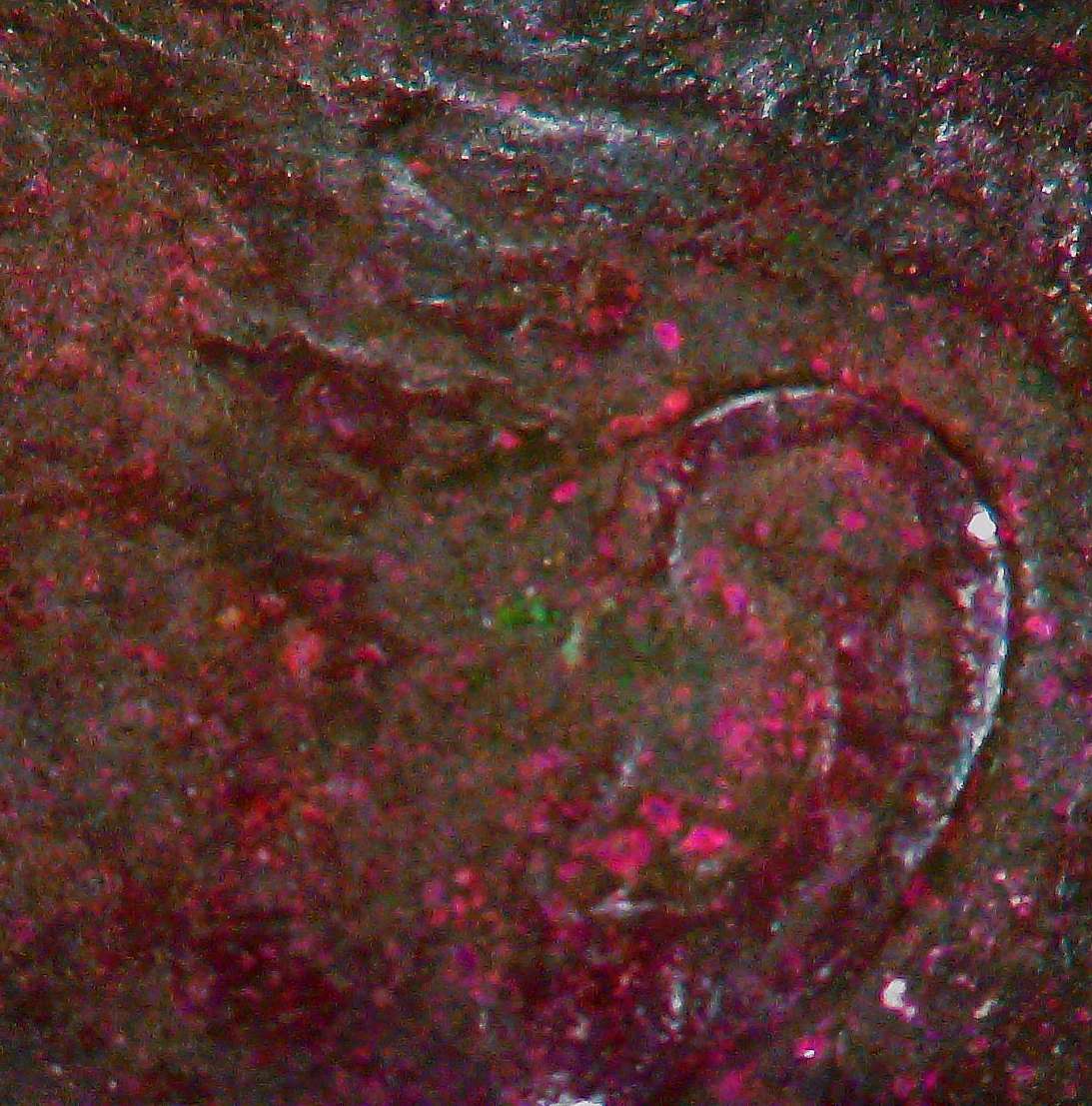 A-1965-Copper-Dime-Sold-On-Ebay-For-$29.99-In-February