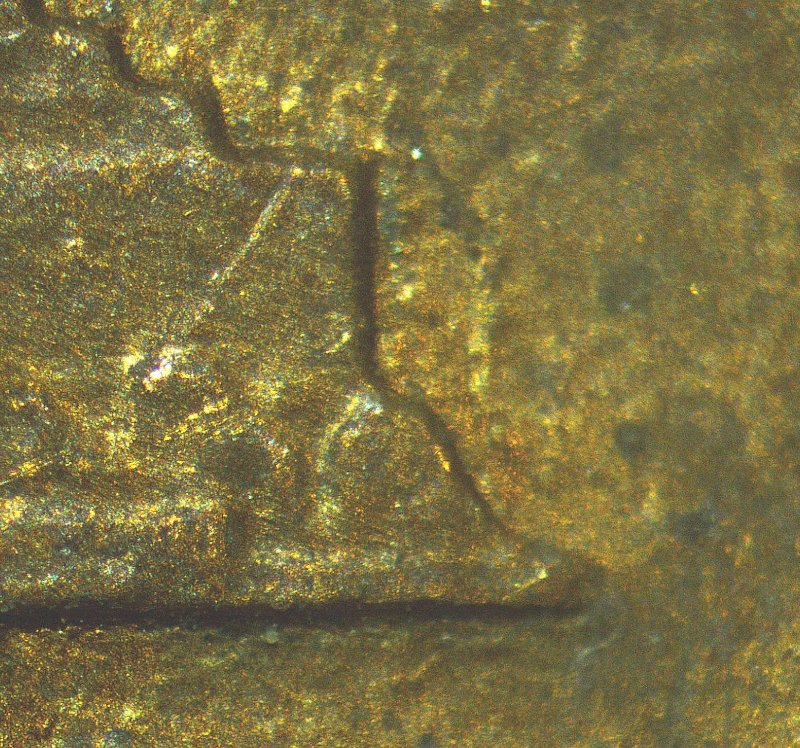 1988-D-WAM-FS-901?-No-FG?